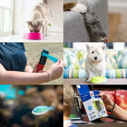 Pets and accessories 
