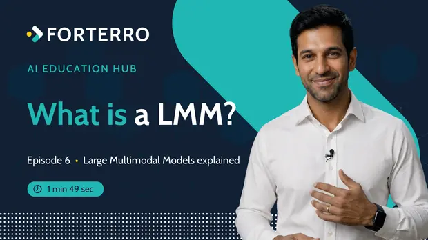 What is a LMM
