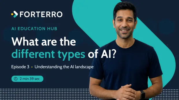 What are the different types of AI