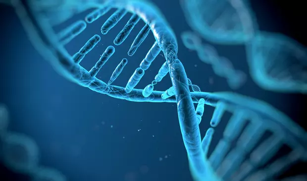 Bilden visar en DNA sträng