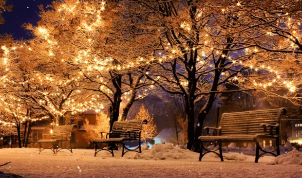 Bilden visar en vintrig park med parkbänkar som är snötäckta