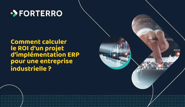 ebook calcul ROI erp industrie