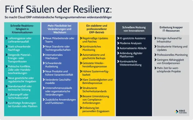 5 Säulen der Resilienz