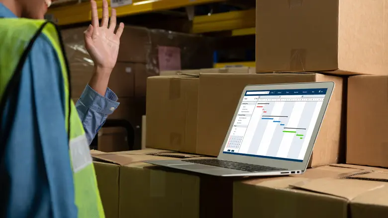 ERP project plan with Orderwise 