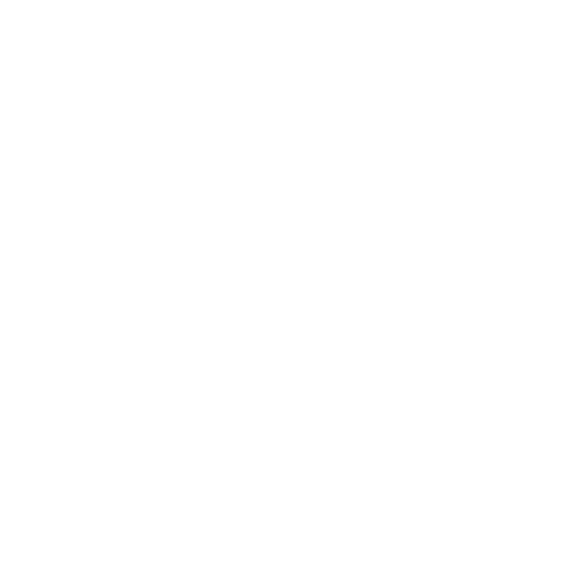 Logo Ulysse Nardin